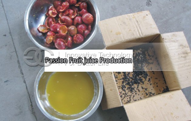 Passion Fruit Juice Extracting Machine